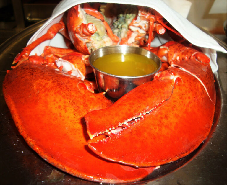 DSC09925 web 768x627