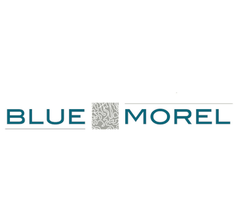blue morel logo 800x400 1 1 768x711
