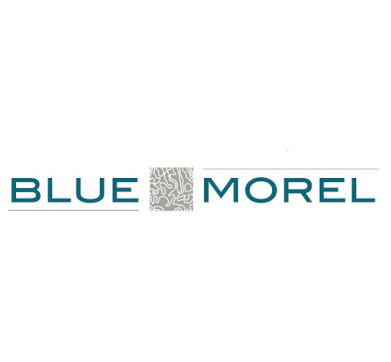 blue morel logo 800x400 1 768x711