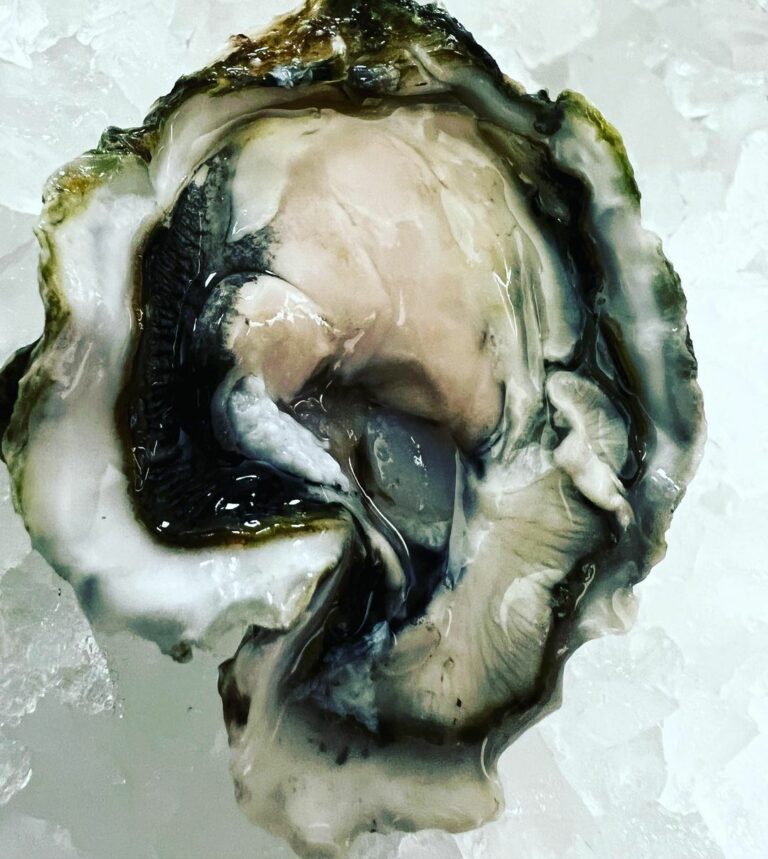 oceanosrestaurant 306872274 811774779853896 4109353114867284135 n 1 768x859