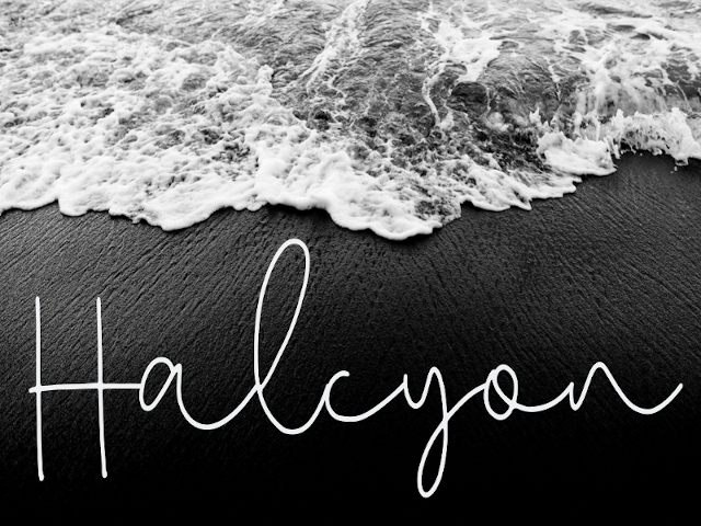 halcyon logo web1