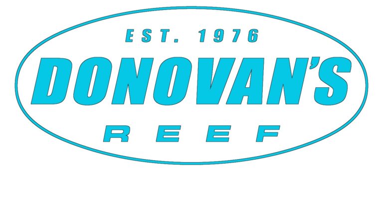 CFF64A8D F876 4CFD BEFC 2ADE7A193DE1 1 768x417