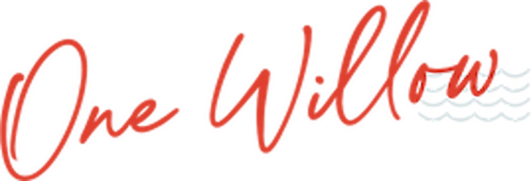 ONE WILLOW LOGO ORANGE 1 1 768x263